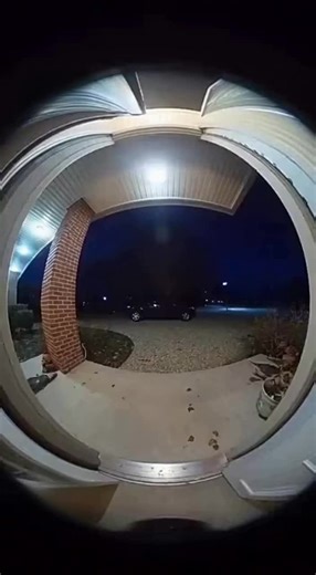 funny angry monkey making noise! #ai #aimonkey #funny #merrychristmas #viral #fyp #sora