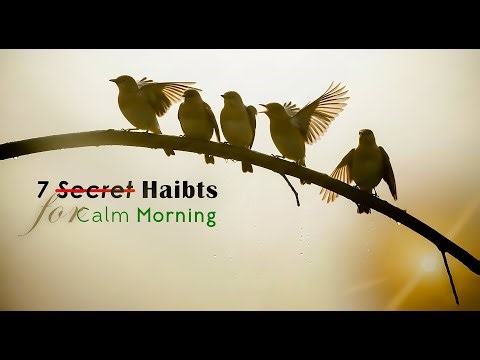 7 Secret Steps to a Calm Morning Without Any Gadgets