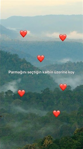 Yorumlarda buluşalım.