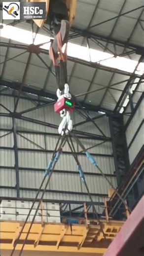 Heavy Duty Crane Scale Review 🔥 Accurate & Reliable!