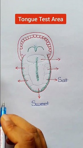 Tongue Test Area
