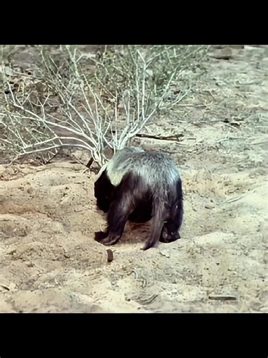 #TikTokFilmTVCompetition #filmbreaker #moviereview #usmovies | Movie Reviews