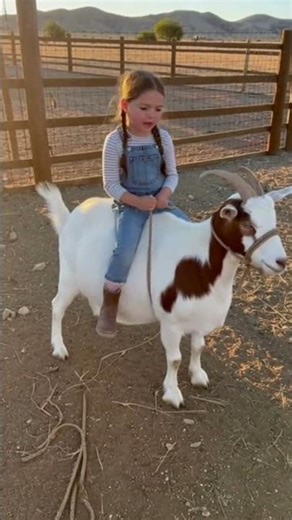 This Little Girl Casually Rides a Goat Like It’s Normal 🥹🐐
