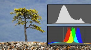 $20 - Understanding your Histogram: A Misunderstood, Critically Important Tool