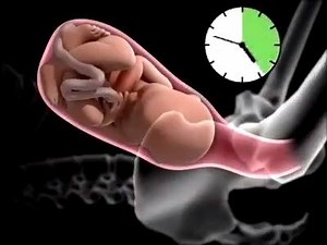 Superbe vidéo sur l'accouchement Rejoignez la page : Santé SOS | Santé SOS