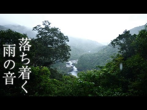 【優しい雨の音と神の滝】西表島の雨の音を聞き流すだけで心身がリラックス&浄化されエネルギーチャージ&大自然グラウンディングできる癒し波動のパワースポット自然音【睡眠 ヒーリング 集中 瞑想 勉強】