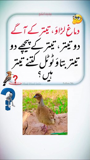 1.1M views · 2.8K reactions | #hudhudinfo #gkquiz #QuizTime #foryouシ #question #editing #knowledge #gk #trend #edit #virals | Hud Hud Info | Facebook