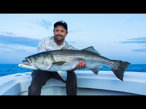 Topwater & Jig Fishing for GIANT Striped Bass | Block Island | Salty Cape TV: S2023, E6