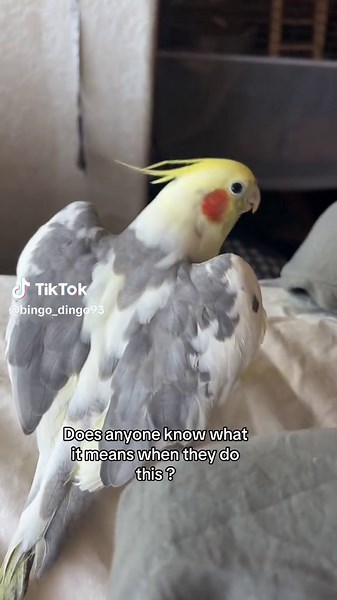 Understanding Unique Social Media Gestures