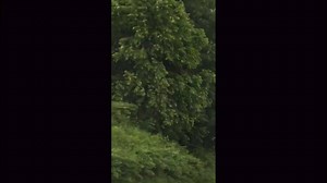 9.7K views · 62 reactions | JUST IN: The National Weather Service has confirmed an EF1 tornado Wednesday night near Frazeysburg in Muskingum County. The funnel cloud was caught on video. (Courtesy: Penny Galiger) | WSYX ABC 6 | Facebook