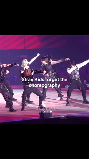 Stray Kids: Memorable Moments of Forgetting Choreography