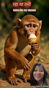 Peacock in Pain After Eating Snake Egg #shorts #shortvideo #monkey #funny #peacock #aiart #cute