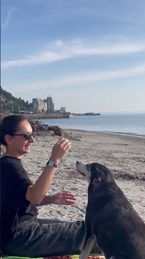 Woman plays with dogs in Pristina, Kosovo