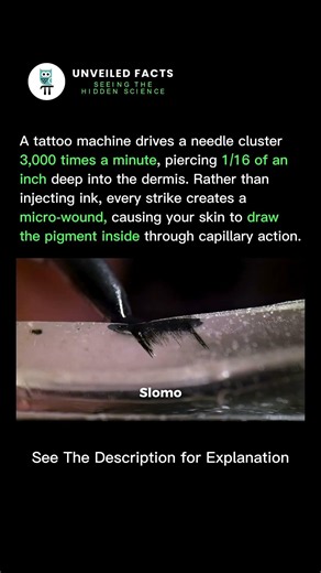How Tattoos Work in Slow Motion