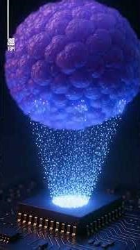 Human Brain Cells Turned Into Computers