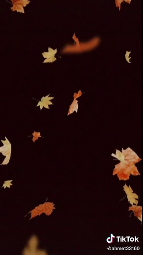 Beautiful Autumn Leaves Falling in Dark Background