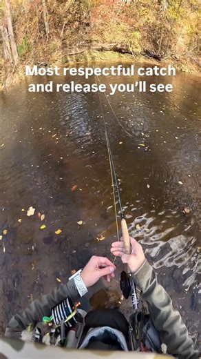 Nothings worse than the leaf hatch… #flyfishing #fallfishing #catchandrelease #leaf #fishing | Flyfishdelawhere
