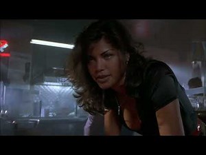 The Sunchaser (1996)