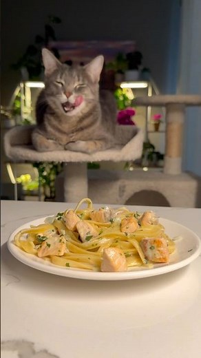 Fettuccine with salmon in a creamy sauce 🍝Recipe in the description and in the pinned comment❤️