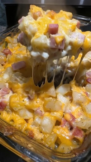 quotidian recipes on Instagram: "Cheesy Ham & Potato Casserole This Cheesy Ham & Potato Casserole is warm, comforting, and perfect for using up leftover ham. Tender potatoes and savory ham are baked in a creamy sauce and topped with plenty of melted cheese. It’s an easy, hearty dinner that works just as well for weeknights as it does for holidays. Ingredients 3 cups cooked ham, diced 4 cups potatoes, peeled and diced small or frozen hash browns 1 small onion, diced 1 can (10.5 oz) cream of chick