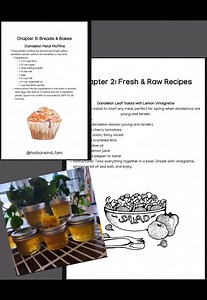 The Dandelion Kitchen | Foraging & Homestead Cookbook | Wild Edible Recipes | Rustic Herbal Kitchen Guide (digital Download) - Etsy Canada