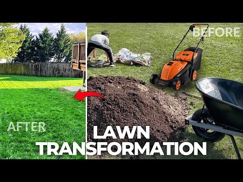 Ultimate DIY Lawn Care: Aeration & Overseeding for a Lush Green Yard!