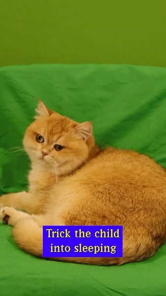 How I Added Mr Chips To My 3D Set