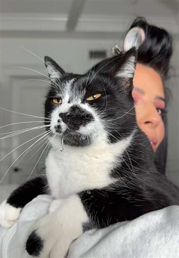 Managing a Drooling Cat While Getting Ready