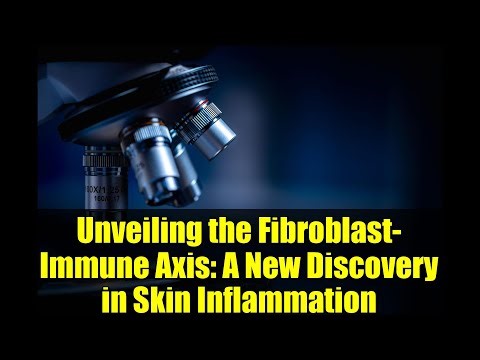 Unveiling the Fibroblast-Immune Axis: A New Discovery in Skin Inflammation