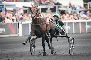 Mathieu Millet: "Jetzt träumen unsere Anteilseigner sogar vom Prix d’Amerique"