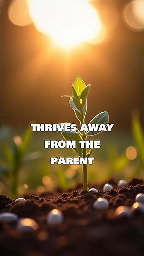 Some Fruits Explode?! 🍉💥