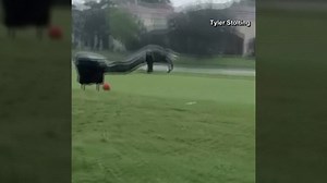 46K views · 190 reactions | It was at this moment, we decided we're never going to Florida again. | WTHR-TV | Facebook