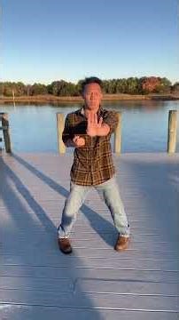 How to learn martial arts. Sil Lum Tao “small idea form” : Wing Chun first form