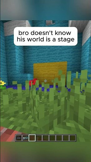 bros world is just a stage #minecraft #gaming #tiktok #truman #trumanshow