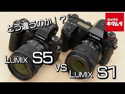 【カメラ比較】Panasonicのミラーレスカメラ LUMIX S5とS1の違いとは！？