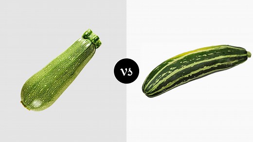Calabacita Squash vs Zucchini - How Different Can They Be? - Miss Vickie