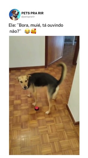 Ele: ´´Bora, muié, tá ouvindo não?``❤️🐶