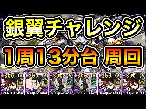 【パズドラ】全敵対応！「銀翼」チャレンジ！銀翼の白迅帝！1周13分台！ロゼッタ編成で安定周回！【概要欄に詳細など記載】