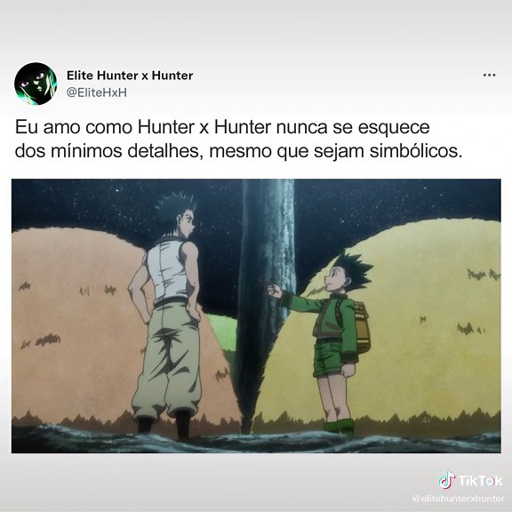 Elite Hunter x Hunter Edits and Memes