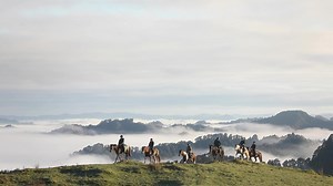✨ Limited November spaces available ✨ – Blue Duck Station Multi-Day Trek 🐴 Ride beautiful native NZ forest, traverse mountain ridge tops and canter wide open paddocks all combined with decadent food and exceptional accommodation. Our Decadent Multi-day Trekking experience includes: ● Three nights twin share luxury accommodation ● Daily cooked & continental breakfast ● Gourmet lunches on the trail ● A scenic jet boat tour on the Whanganui River ● Luggage transfer from lodge to lodge ● BYO horse 