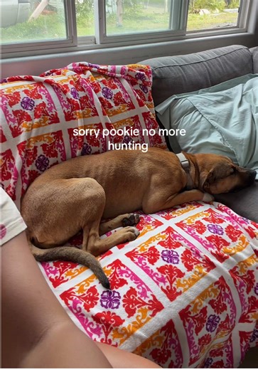 Sorry hana at least you have nui 🧚🏽 | pookie