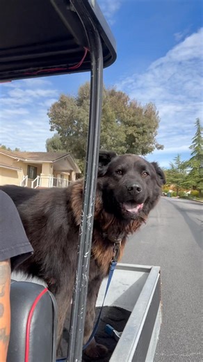 Stephen Pearcy on Reels