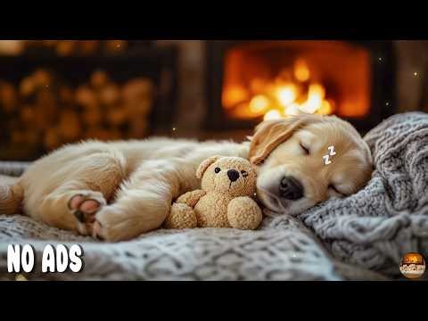 12 HOURS of Soothing Dog Music to Gentle Relief for Separation Anxiety 💖 Calm & Relax 🎵 No Ads