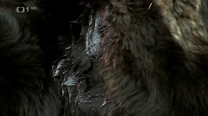 Alpesi Őrjárat - 2x01 - Könnyű prédák 1.rész