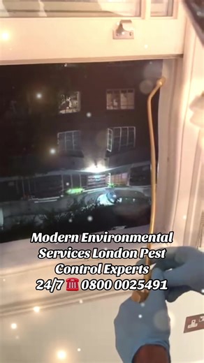 Modern Environmental Services – London Pest Control Experts 🛑 Say goodbye to pests with our FREE Inspection offer! 📍 Covering: Islington • Finchley • Muswell Hill • Seven Sisters • Ilford • East London 🐜 Rats | Cockroaches | Bed Bugs | Wasps | Ants 📞 24/7 Helpline: 0800 0025491 🌐 Book now: www.modernenvironmentalserviceslondon.co.uk ✅ Eco-friendly | ✅ Certified Experts | ✅ Fast Local Response #PestControlLondon #ModernEnvironmentalServices #LondonPestExperts #FreeInspection #IslingtonPestCo