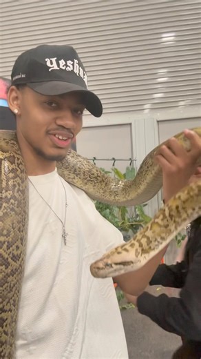 Meet This Giant 20 Foot Python!! 😳