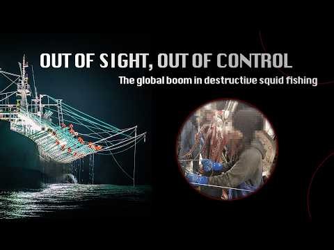Out of Sight, Out of Control: The global boom in destructive squid fishing | EJF Documentary