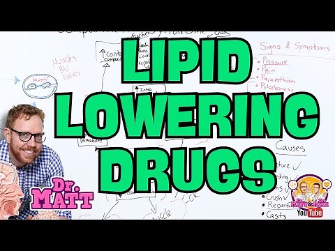 Lipid Lowering Drugs | Statins, Fibrates, and more