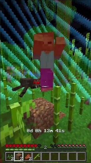 Gefährliche Level = Border Challenge! #minecraft #challenge #hardcore