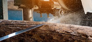 Alabama Sawmill Faces Heavy Fines After Second Fatal Incident in Three Years -- Occupational Health & Safety